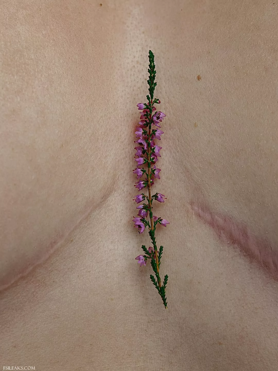 Solomia Maievska Scar Boobs Tease Photoshoot - 73