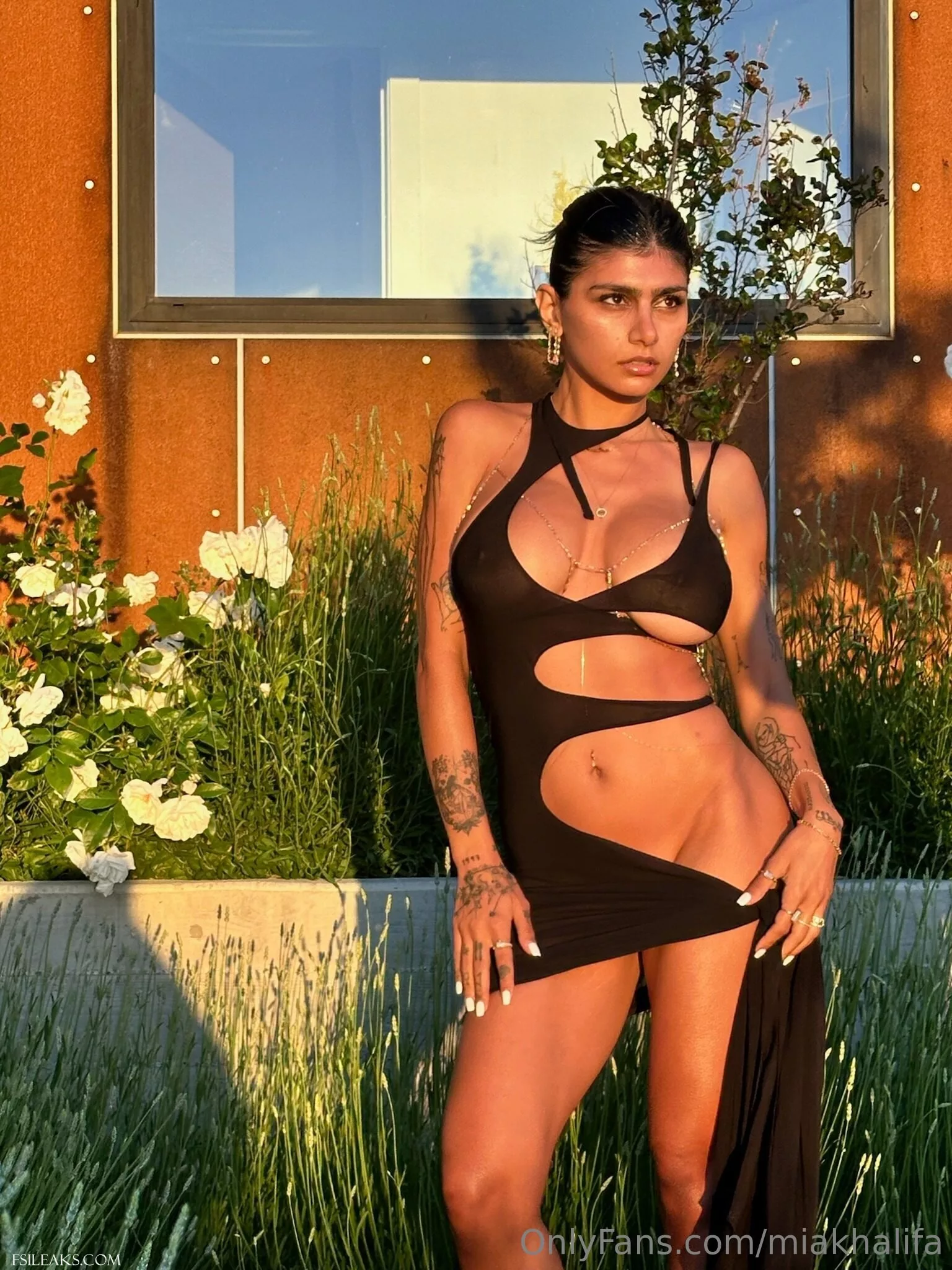 Mia Khalifa OnlyFans Transparent Black Cutout Dress Nude Set - 77