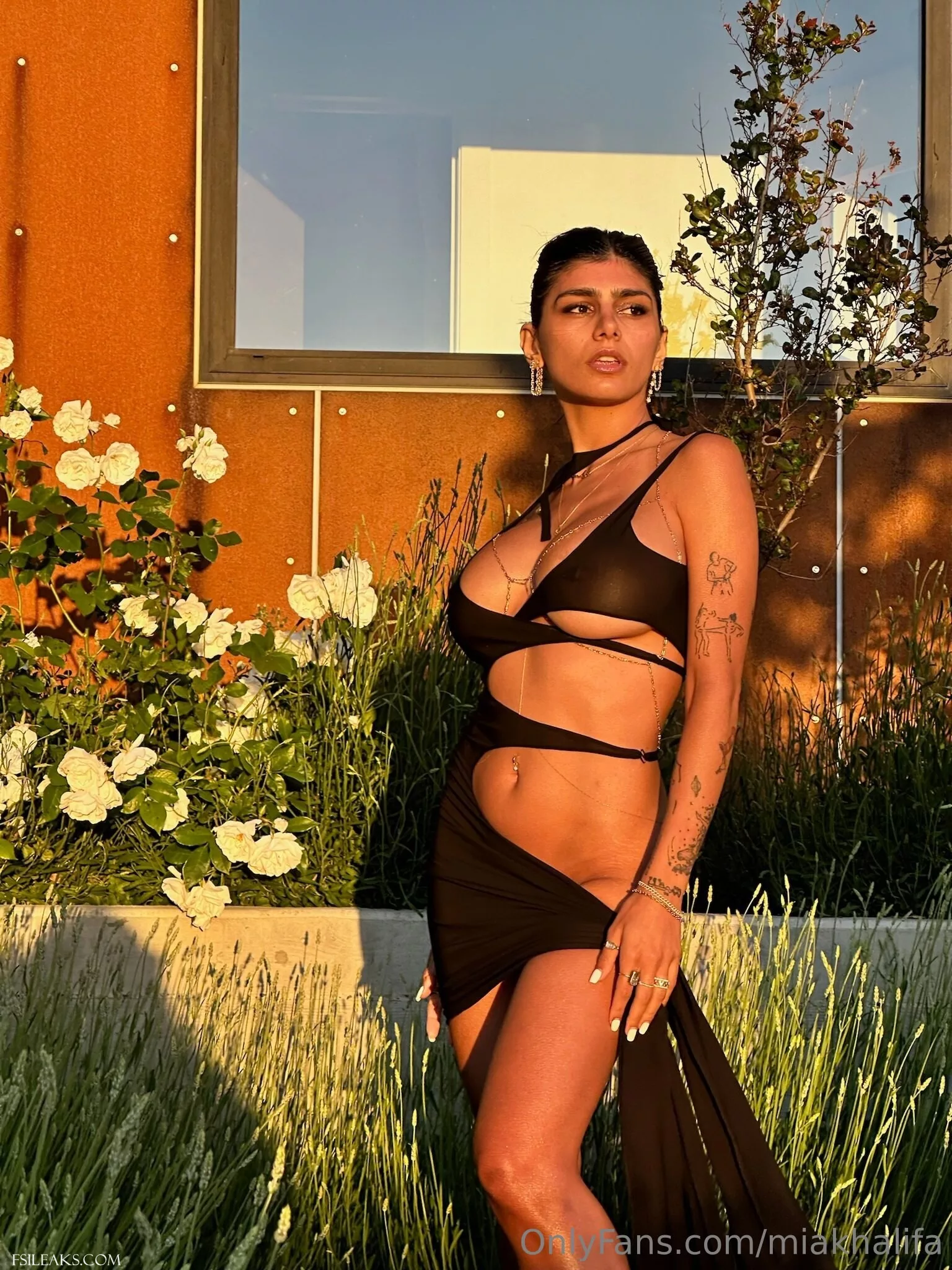 Mia Khalifa OnlyFans Transparent Black Cutout Dress Nude Set - 18 Mia Khalifa OnlyFans Transparent Black Cutout Dress Nude Set - 17