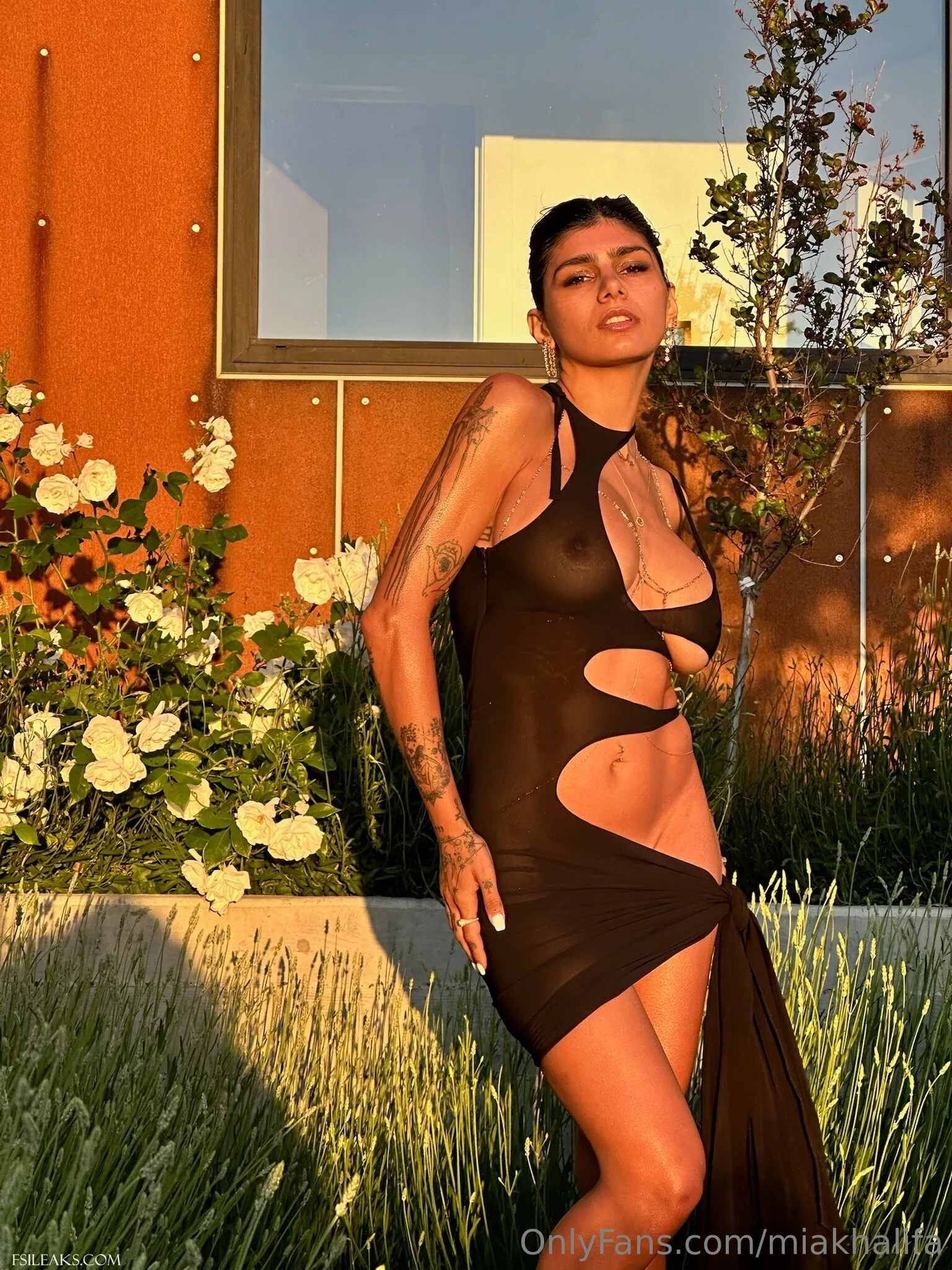Mia Khalifa OnlyFans Transparent Black Cutout Dress Nude Set - 22 Mia Khalifa OnlyFans Transparent Black Cutout Dress Nude Set - 21