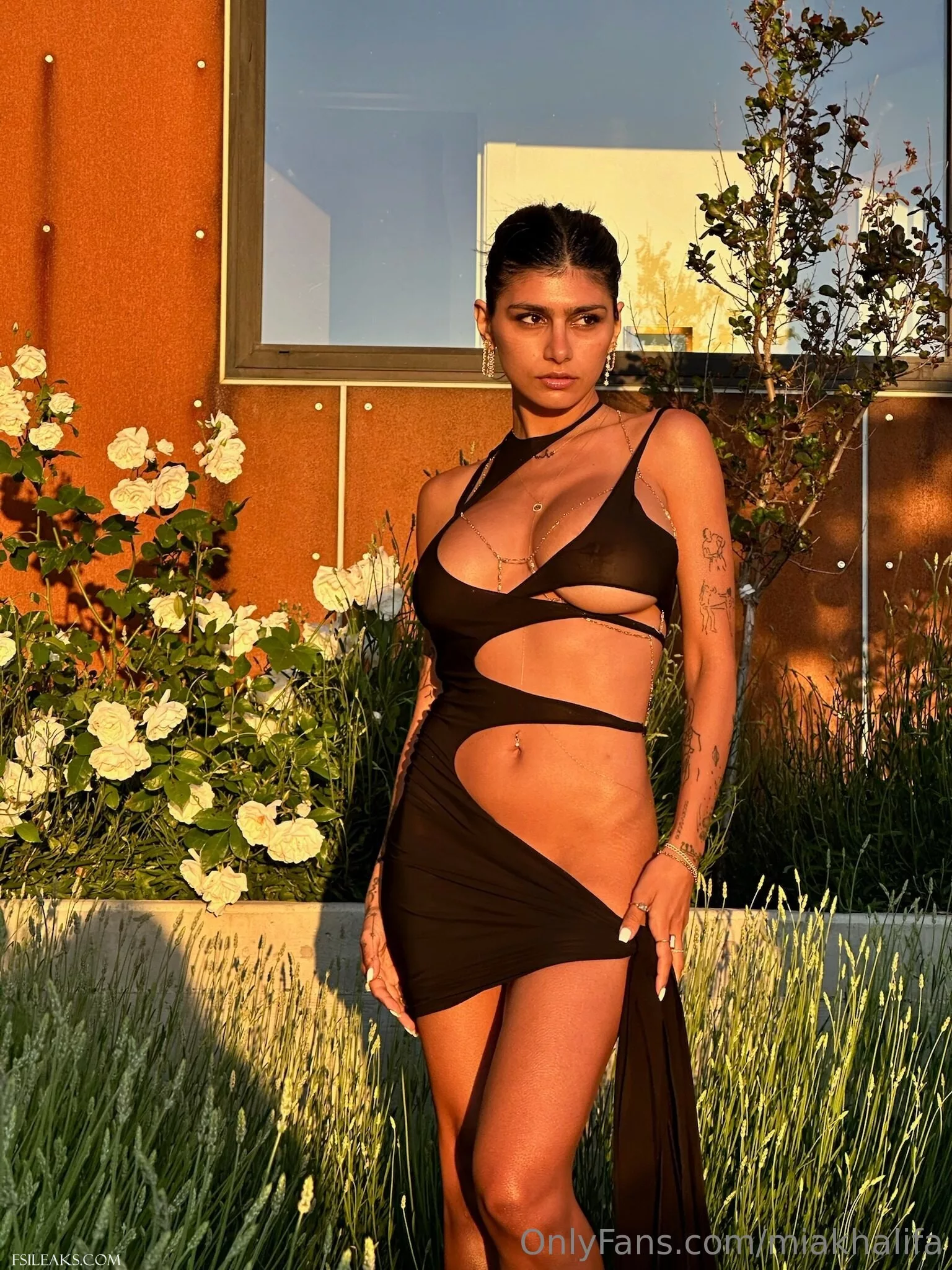 Mia Khalifa OnlyFans Transparent Black Cutout Dress Nude Set - 24 Mia Khalifa OnlyFans Transparent Black Cutout Dress Nude Set - 23